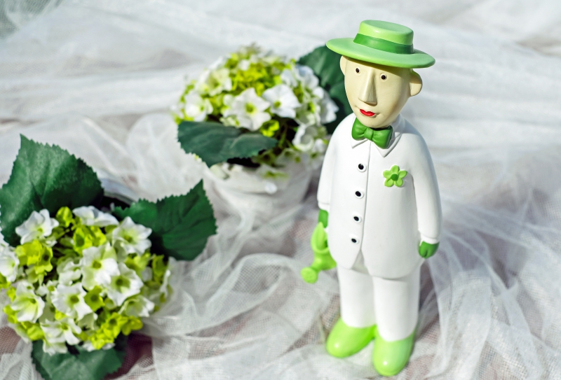 vente-BAUDUEN-min_man-person-flower-green-toy-fig-546529-pxhere.com